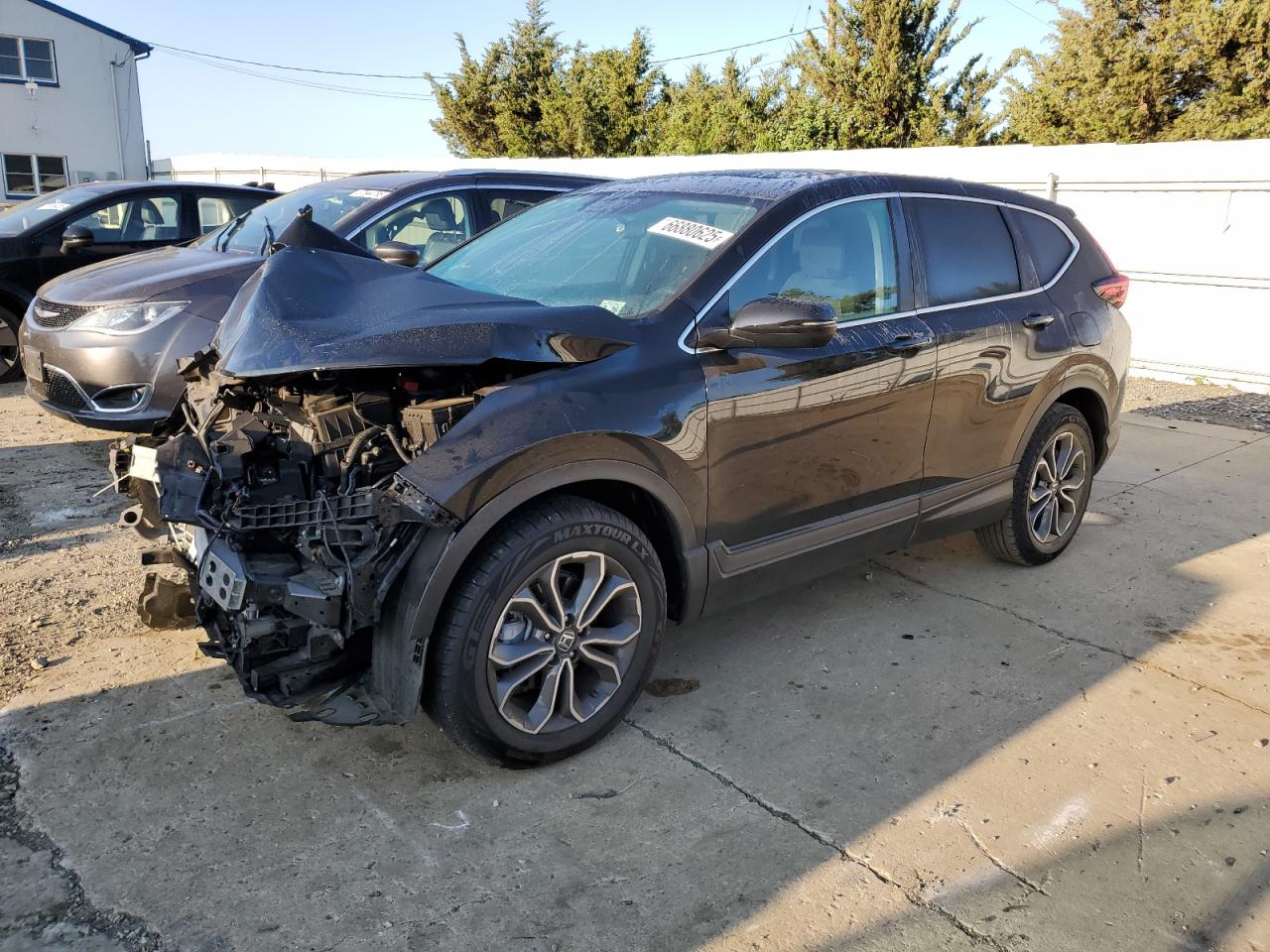 HONDA CR-V EX