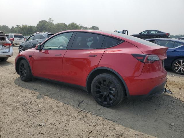 2022 TESLA MODEL Y - 7SAYGDEE6NF437832