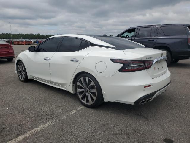 2023 NISSAN MAXIMA PLA 1N4AA6FV0PC502626