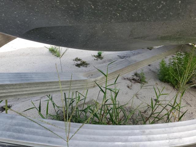 2018 SEADOO JETSKI #3279547268