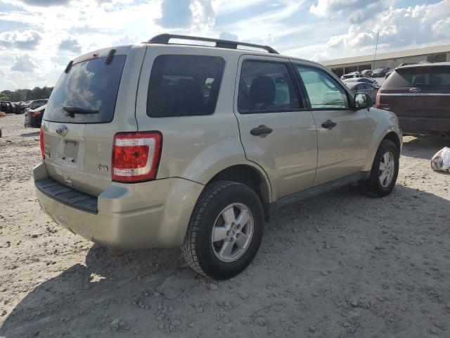 2010 FORD ESCAPE XLT - 1FMCU9DG4AKD22168
