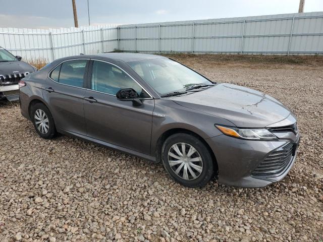 2019 TOYOTA CAMRY LE 4T1B31HK0KU006836