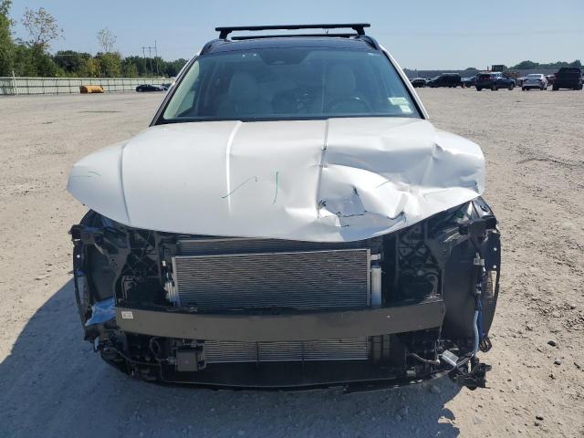 2023 HYUNDAI TUCSON LIM 5NMJECAE7PH292385