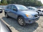 Lot #3311538248 2009 TOYOTA RAV4