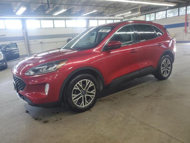 FORD ESCAPE SEL