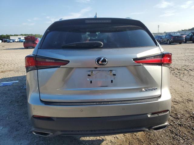 2021 LEXUS NX 300 BAS JTJDARBZ0M2190775