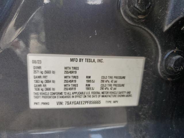 2023 TESLA MODEL Y - 7SAYGAEE2PF856665