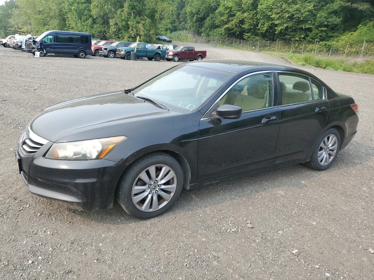 HONDA ACCORD EX