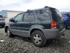 Lot #3294327882 2002 FORD ESCAPE XLT
