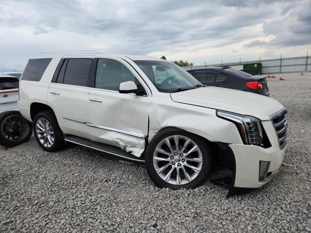 2015 CADILLAC ESCALADE LUXURY - 1GYS4BKJXFR263870
