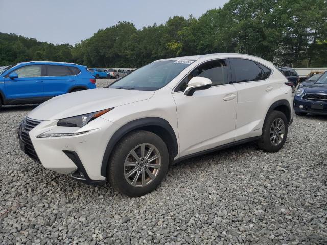 2021 LEXUS NX 300H BA JTJDJRDZ7M5011515