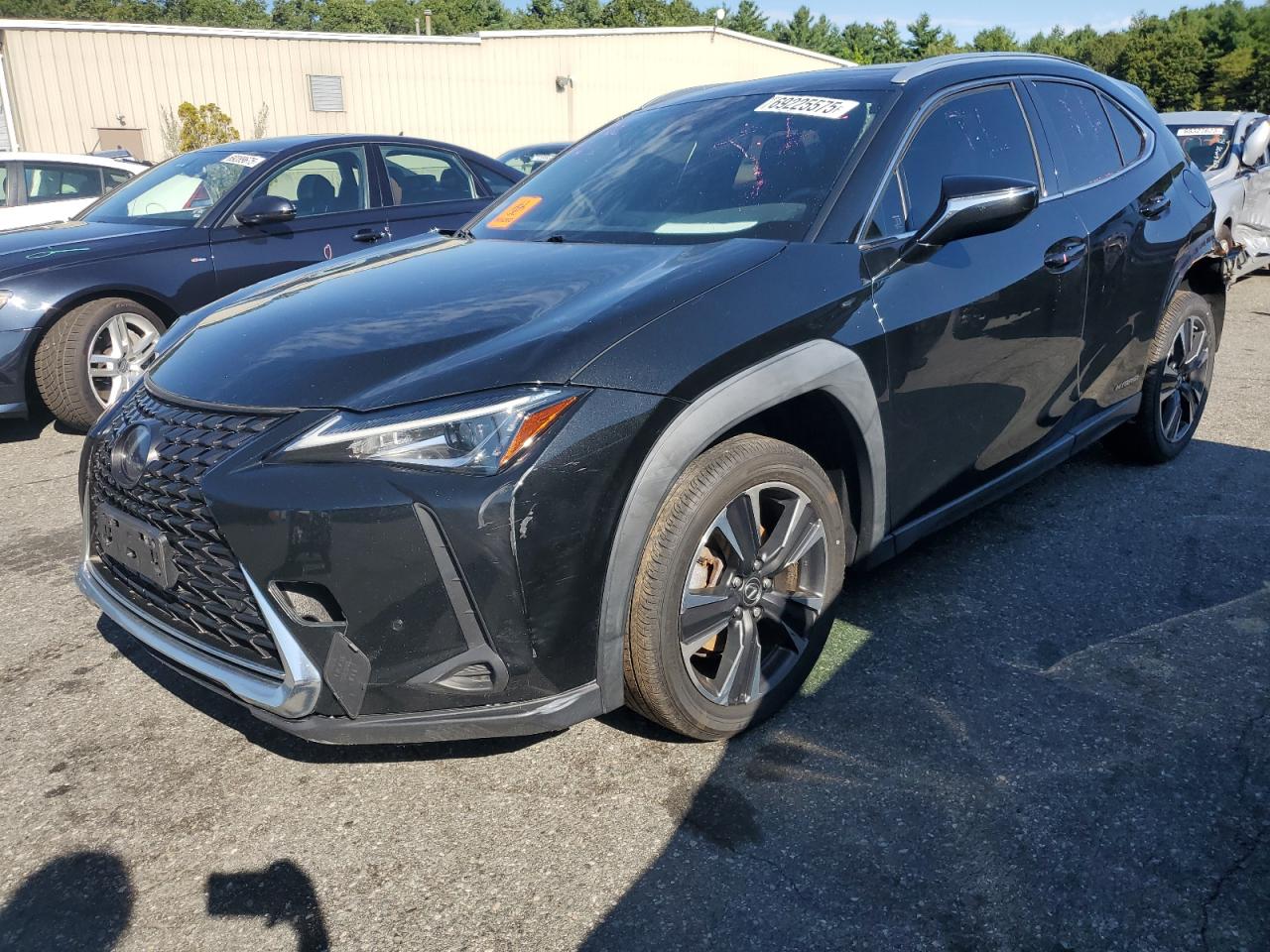 LEXUS UX 250H