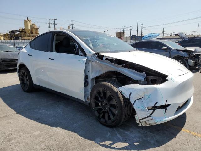 2024 TESLA MODEL Y 7SAYGDED7RF044614