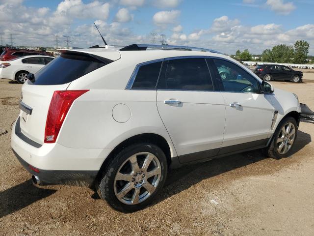 2011 CADILLAC SRX PREMIU - 3GYFNCEYXBS567334