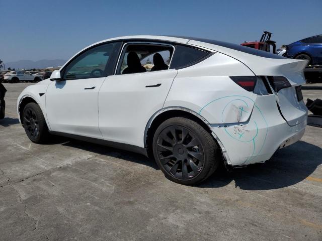 2024 TESLA MODEL Y 7SAYGDED7RF044614