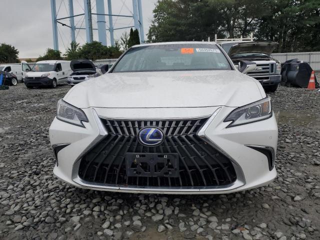 2022 LEXUS ES 300H BA 58ADA1C16NU018452