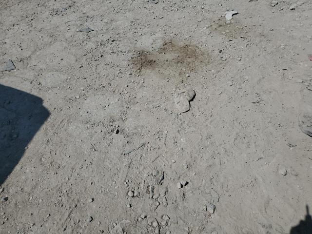 2019 VOLKSWAGEN TIGUAN SE 3VV3B7AX5KM113309