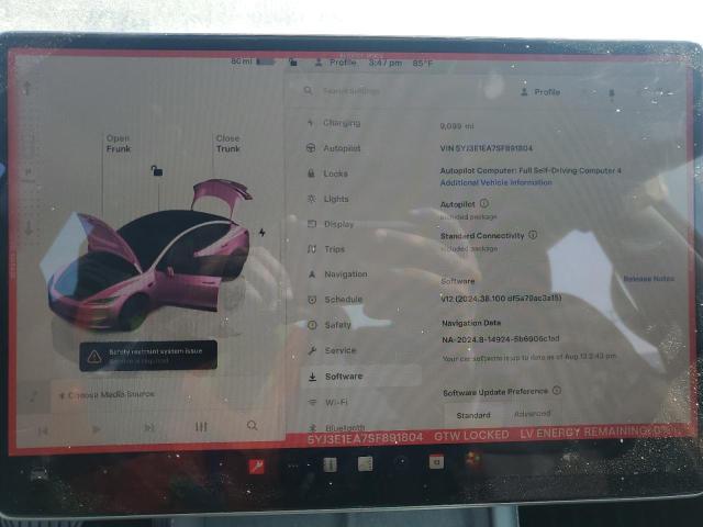 2025 TESLA MODEL 3 5YJ3E1EA7SF891804
