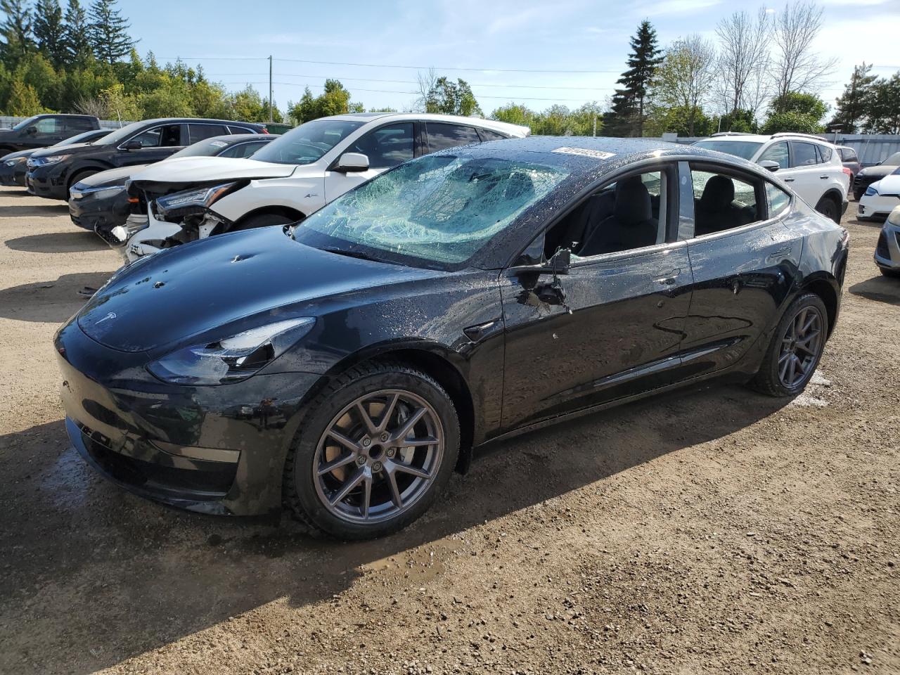 TESLA MODEL 3