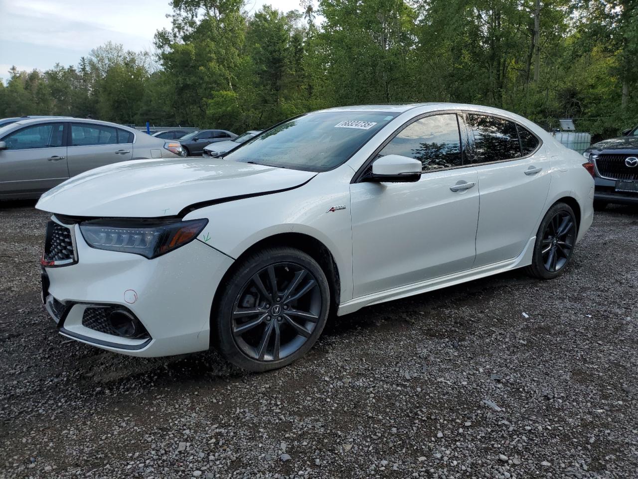 ACURA TLX TECHNOLOGY