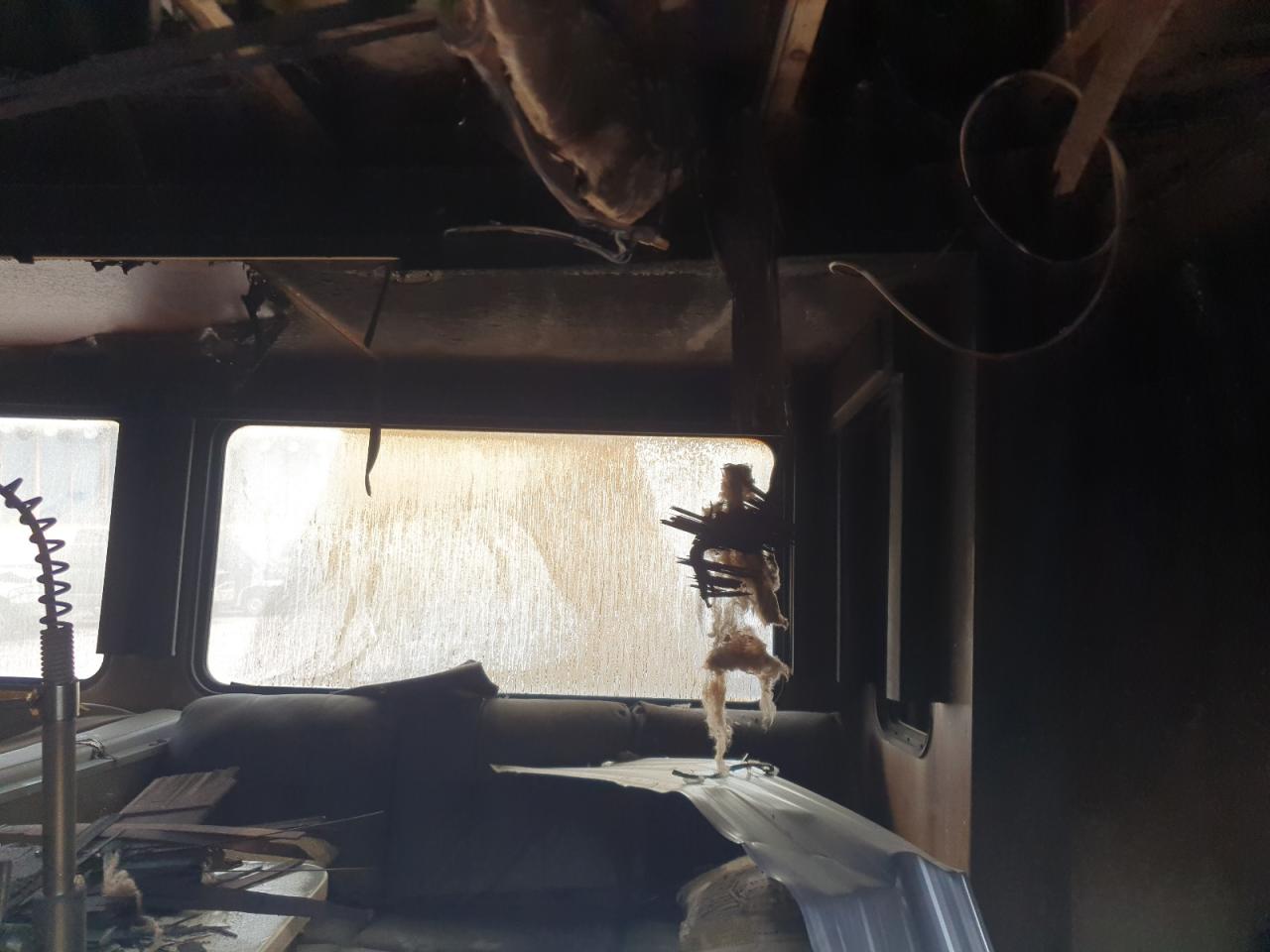 Lot #3259994374 2020 SEAL SALEM