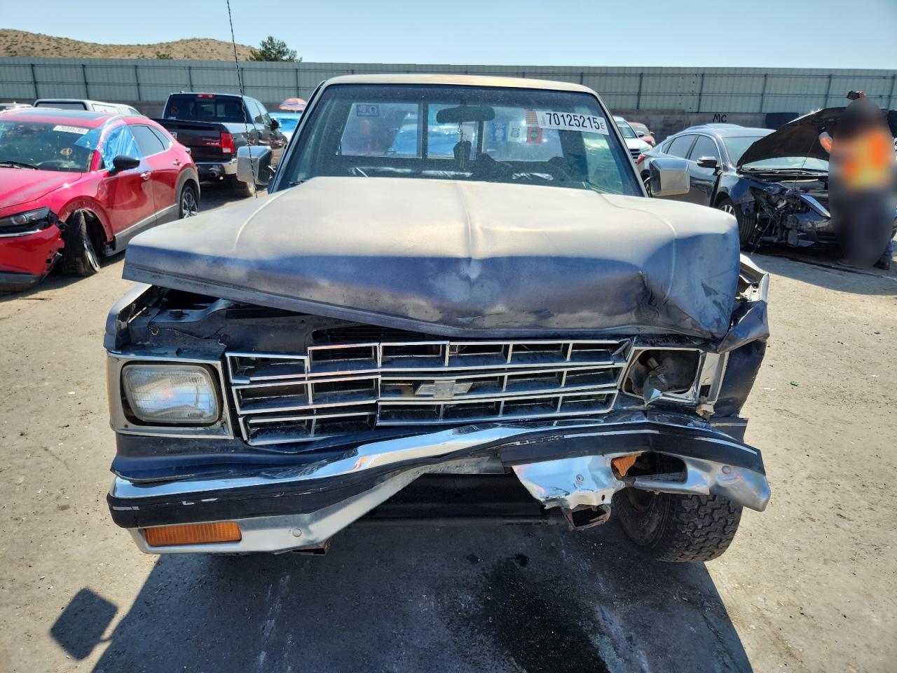 Lot #3248043451 1996 CHEVROLET S10