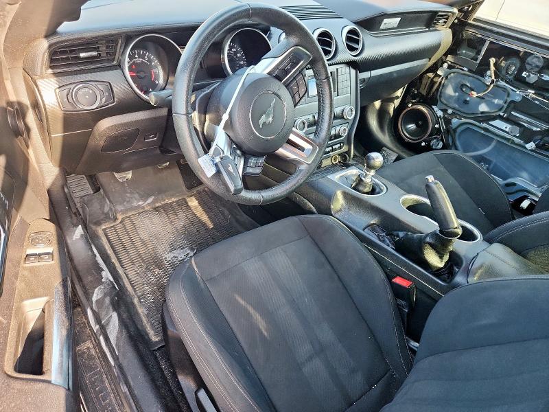 2019 FORD MUSTANG 1FA6P8TH0K5204248