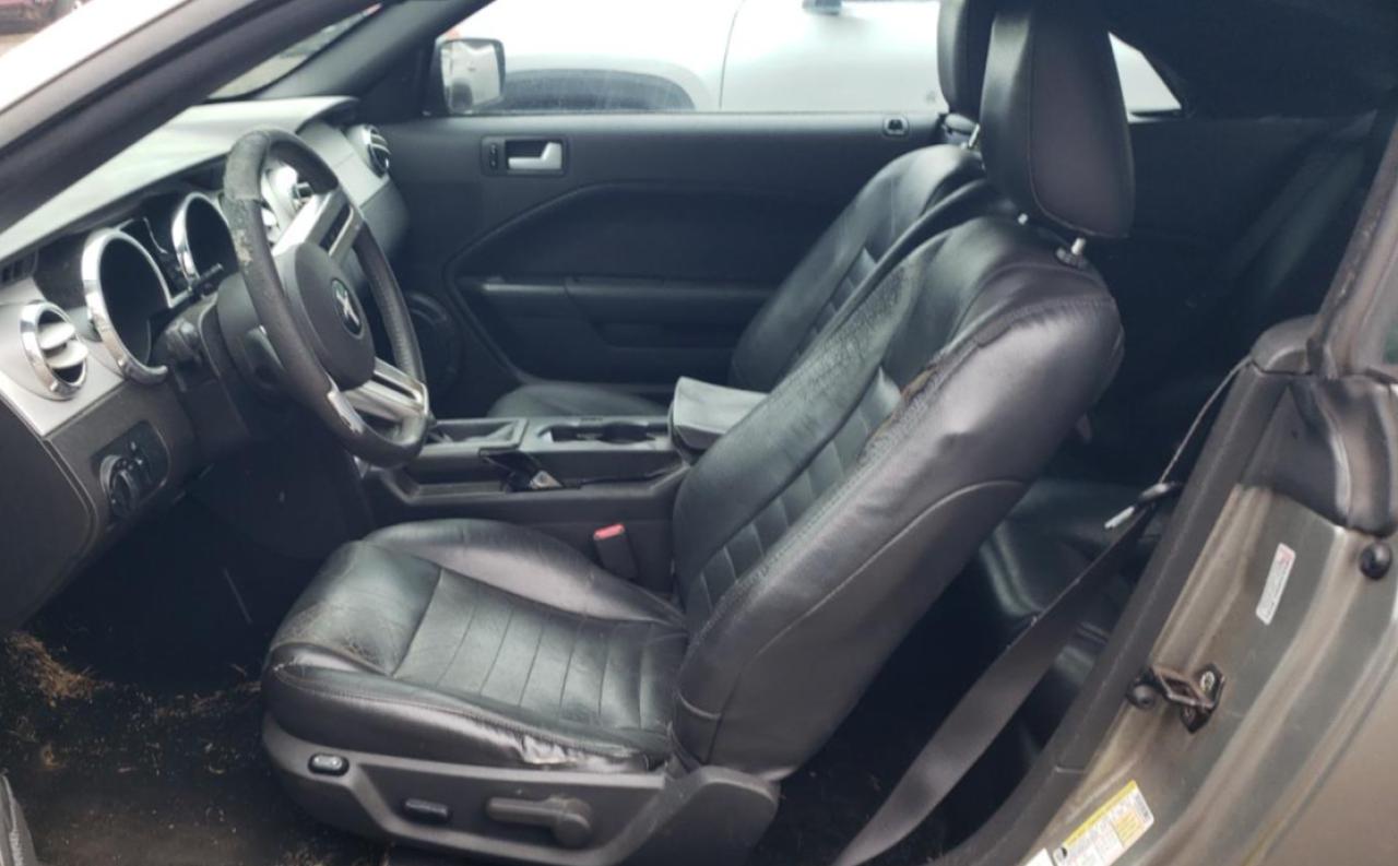 Lot #3262927882 2009 FORD MUSTANG GT