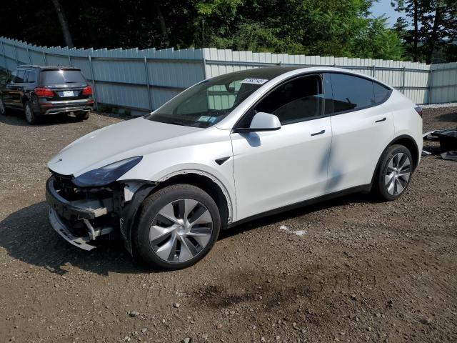 2023 TESLA MODEL Y - 7SAYGDEE1PF764576