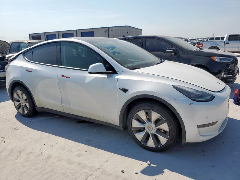 2021 TESLA MODEL Y #3290423785