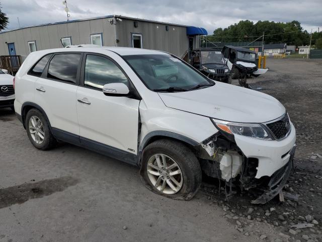 2015 KIA SORENTO LX 5XYKTCA65FG637702