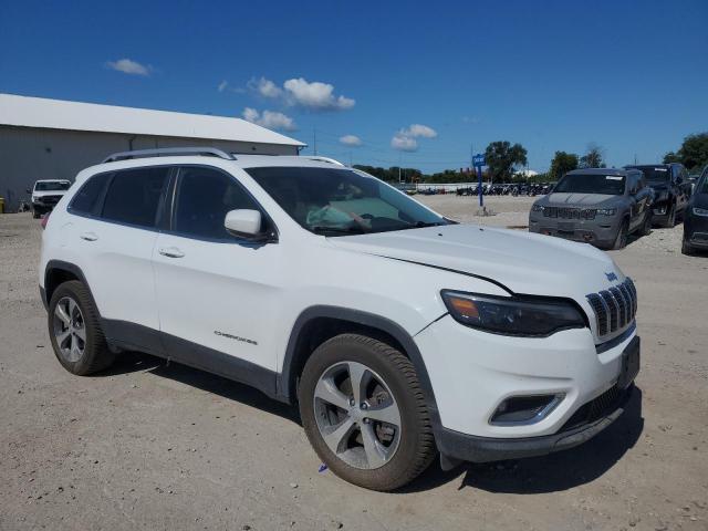 2019 JEEP CHEROKEE LIMITED 1C4PJMDX1KD441867