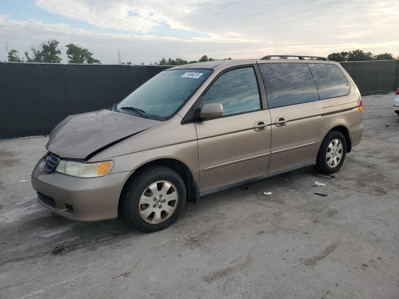 Lot #3302816902 2004 HONDA ODYSSEY EX
