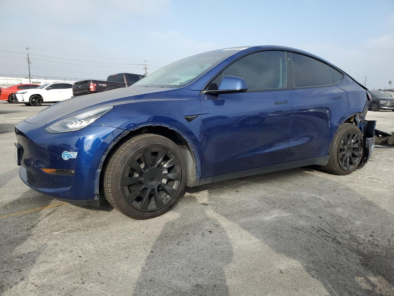 Lot #3302740011 2021 TESLA MODEL Y