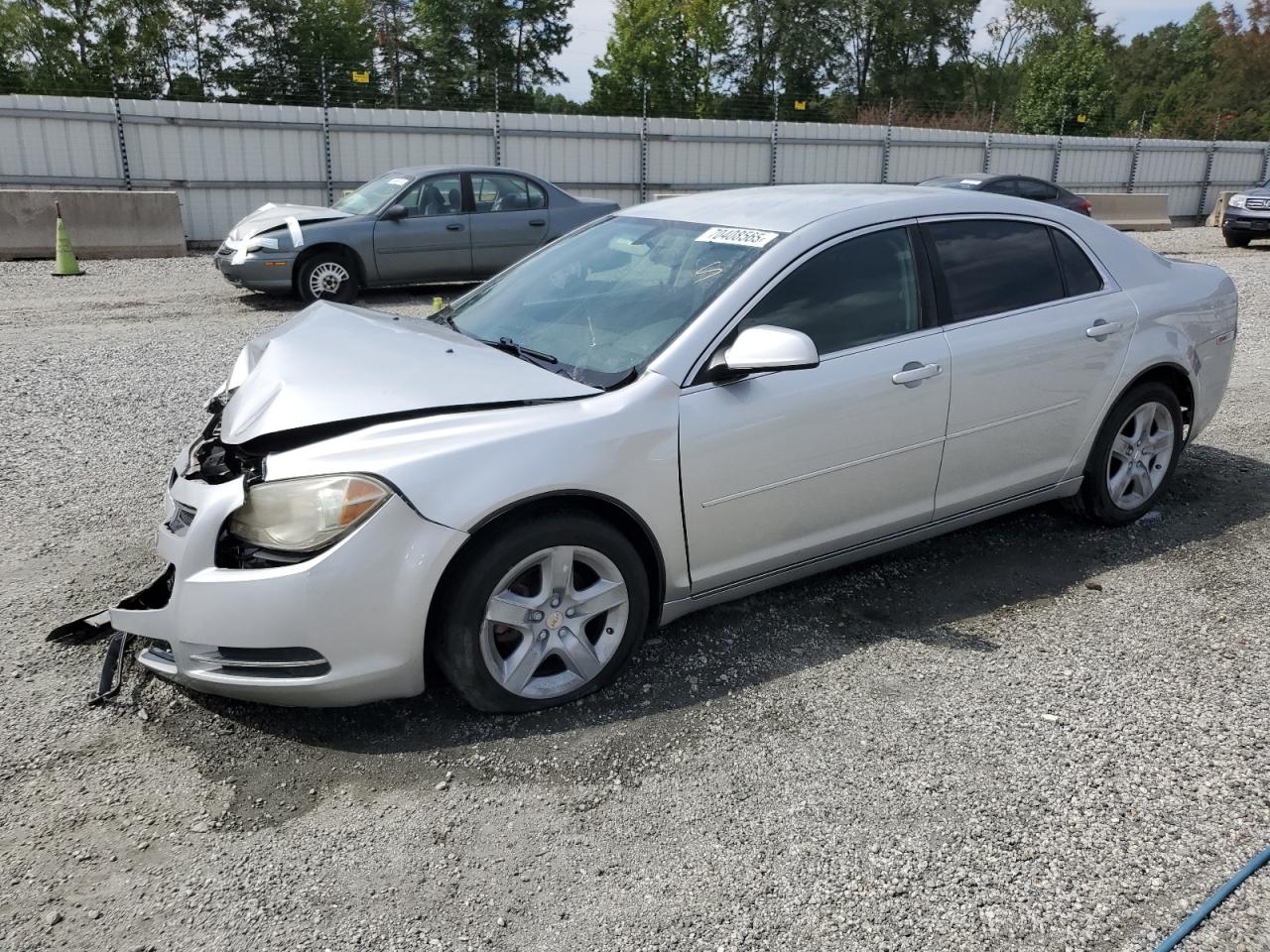 CHEVROLET MALIBU 1LT