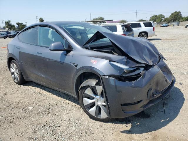 2023 TESLA MODEL Y 7SAYGDED3PF962552