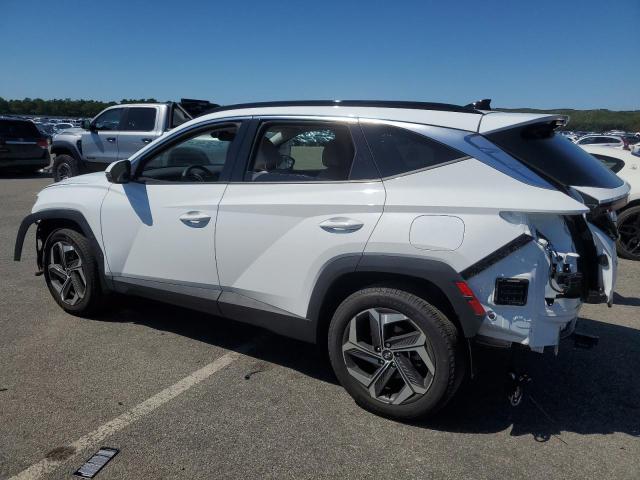 2024 HYUNDAI TUCSON 5NMJECDE8RH409762