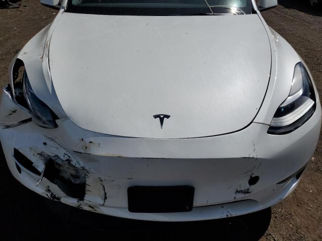 2023 TESLA MODEL Y 7SAYGDEE4PF804715