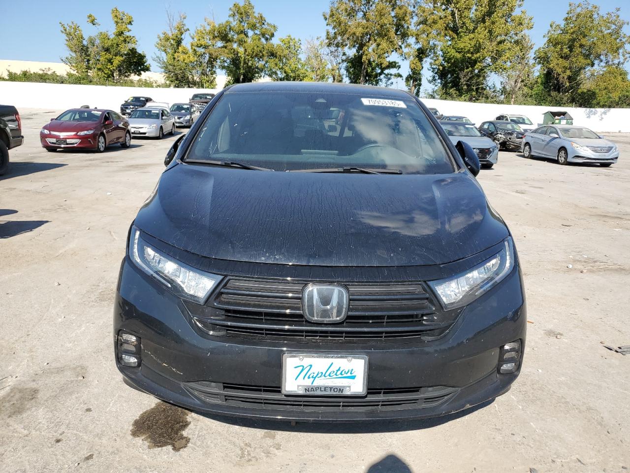 HONDA ODYSSEY SPORT