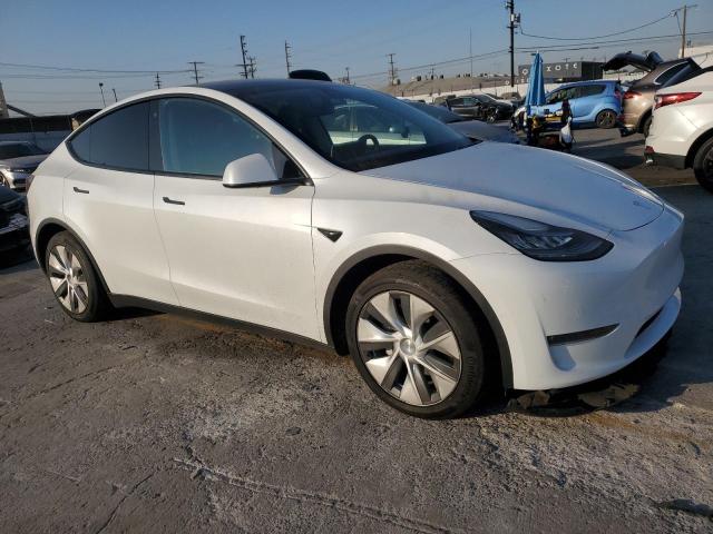 2020 TESLA MODEL Y 5YJYGDEE5LF054345