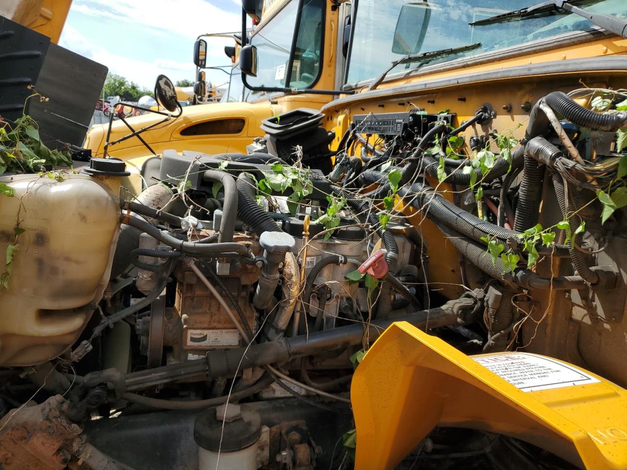 Lot #3234341053 2013 IC CORPORATION CE SERIES SCHOOL