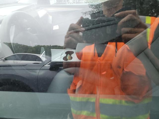 2023 TESLA MODEL Y #3308453288