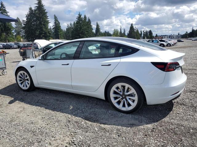 2023 TESLA MODEL 3 5YJ3E1EA8PF644881