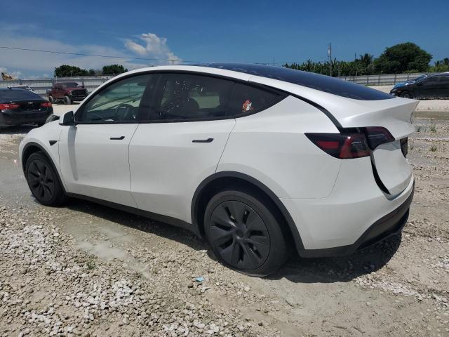 2024 TESLA MODEL Y 7SAYGDED1RF169415