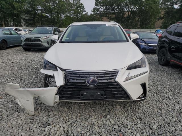 2021 LEXUS NX 300H BA JTJDJRDZ7M5011515