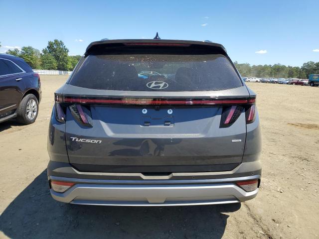 2025 HYUNDAI TUCSON LIMITED 5NMJECDE5SH549435