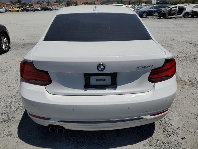 2020 BMW 230I WBA2J1C02L7F16427
