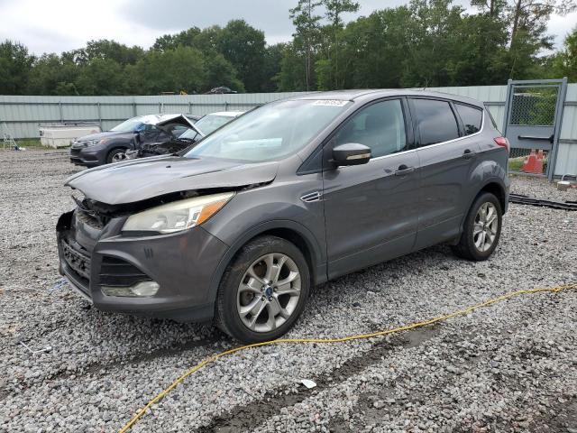 Global Auto Auctions: 2013 FORD ESCAPE SEL