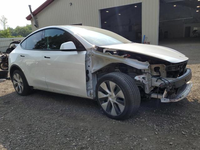 2023 TESLA MODEL Y - 7SAYGDEE1PF764576