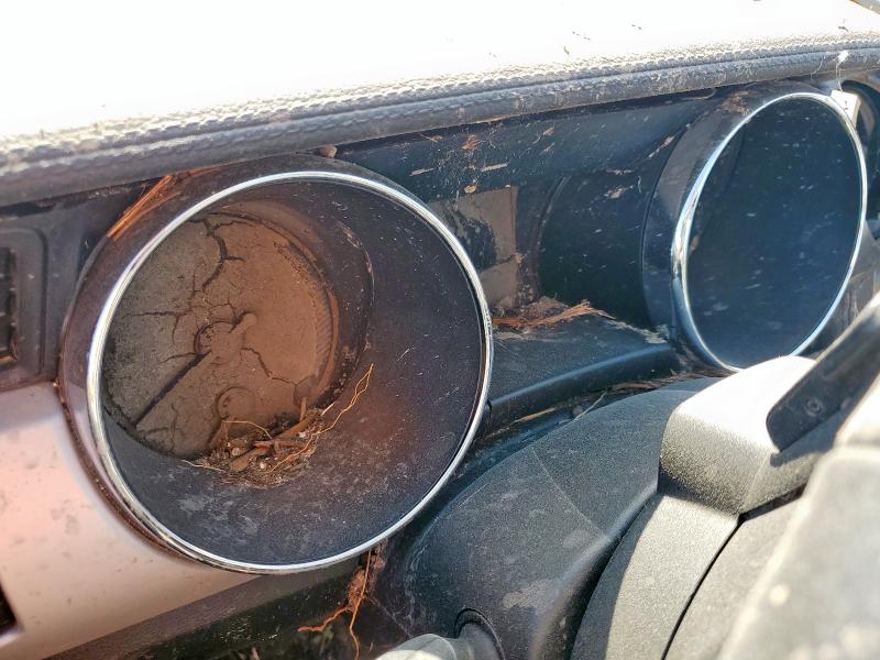 2017 FORD MUSTANG GT #3277178960